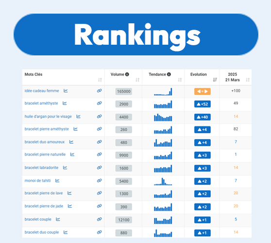seo tool ranking